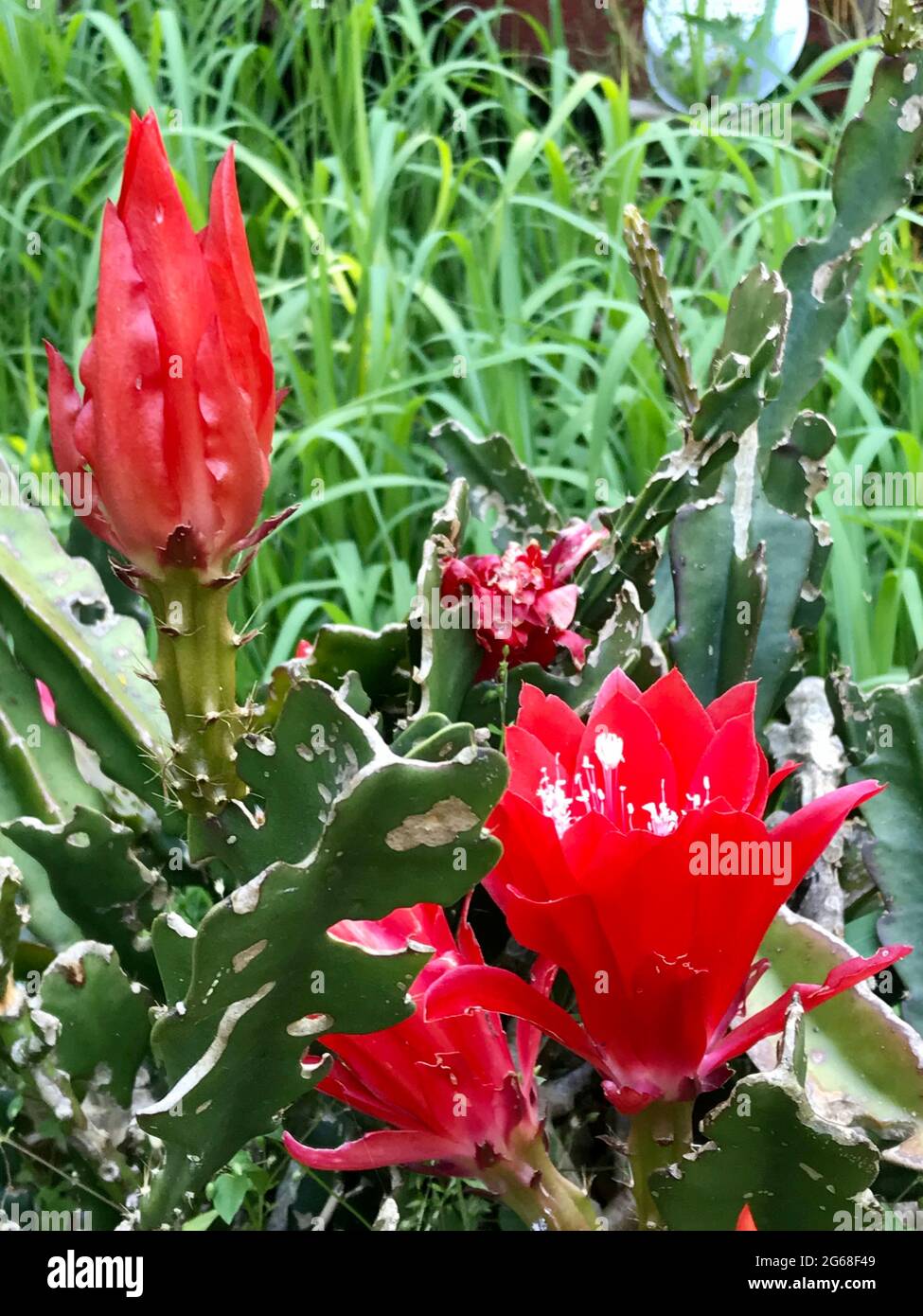 Foto dalla zona industriale in Germania Duisburg Foto Stock