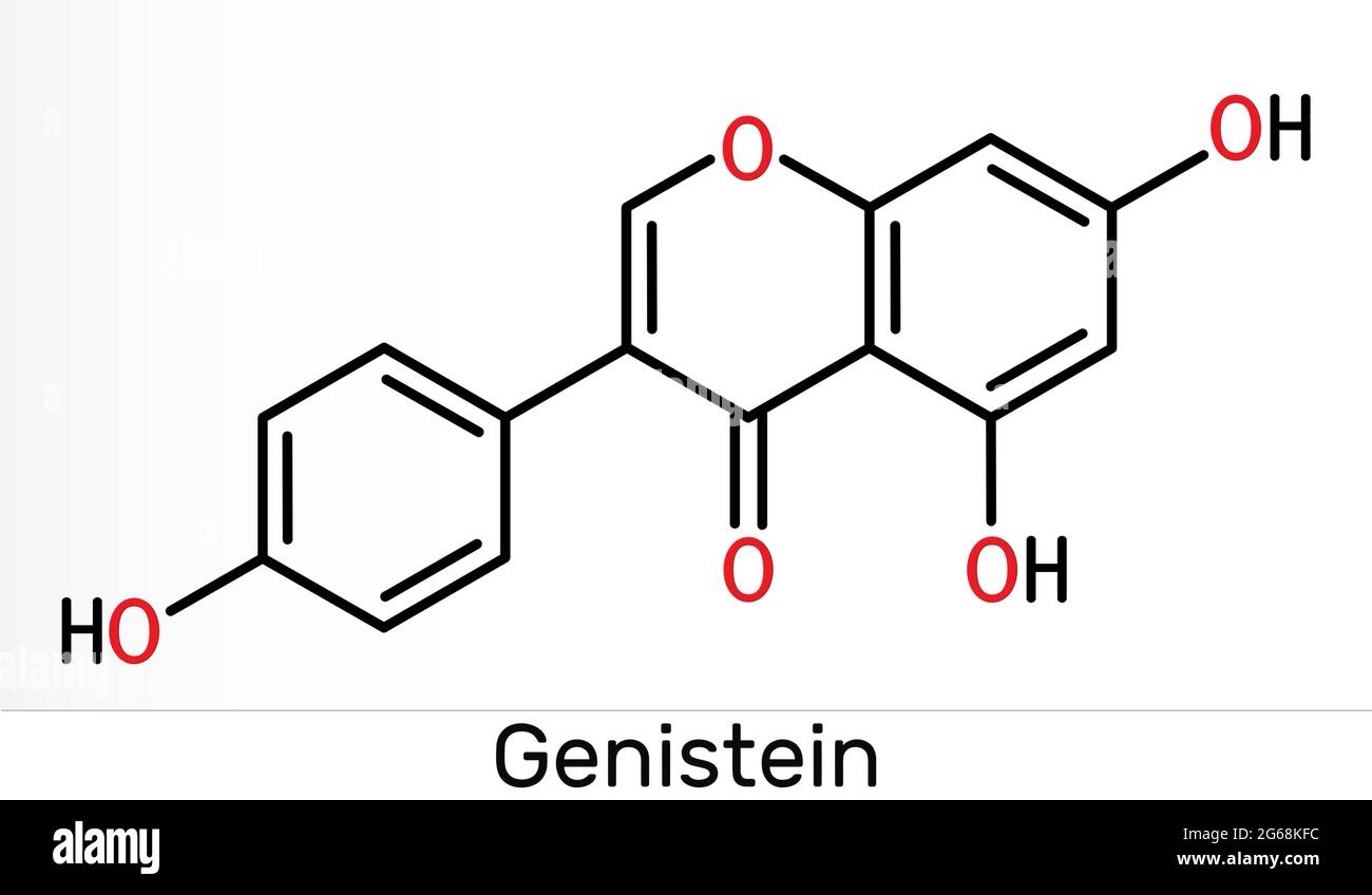 Molecola di genistein. È fitoestrogeno, metabolita vegetale, estratto di isoflavone di soia con proprietà antiossidanti e fitoestrogeniche. Chemi scheletrici Foto Stock