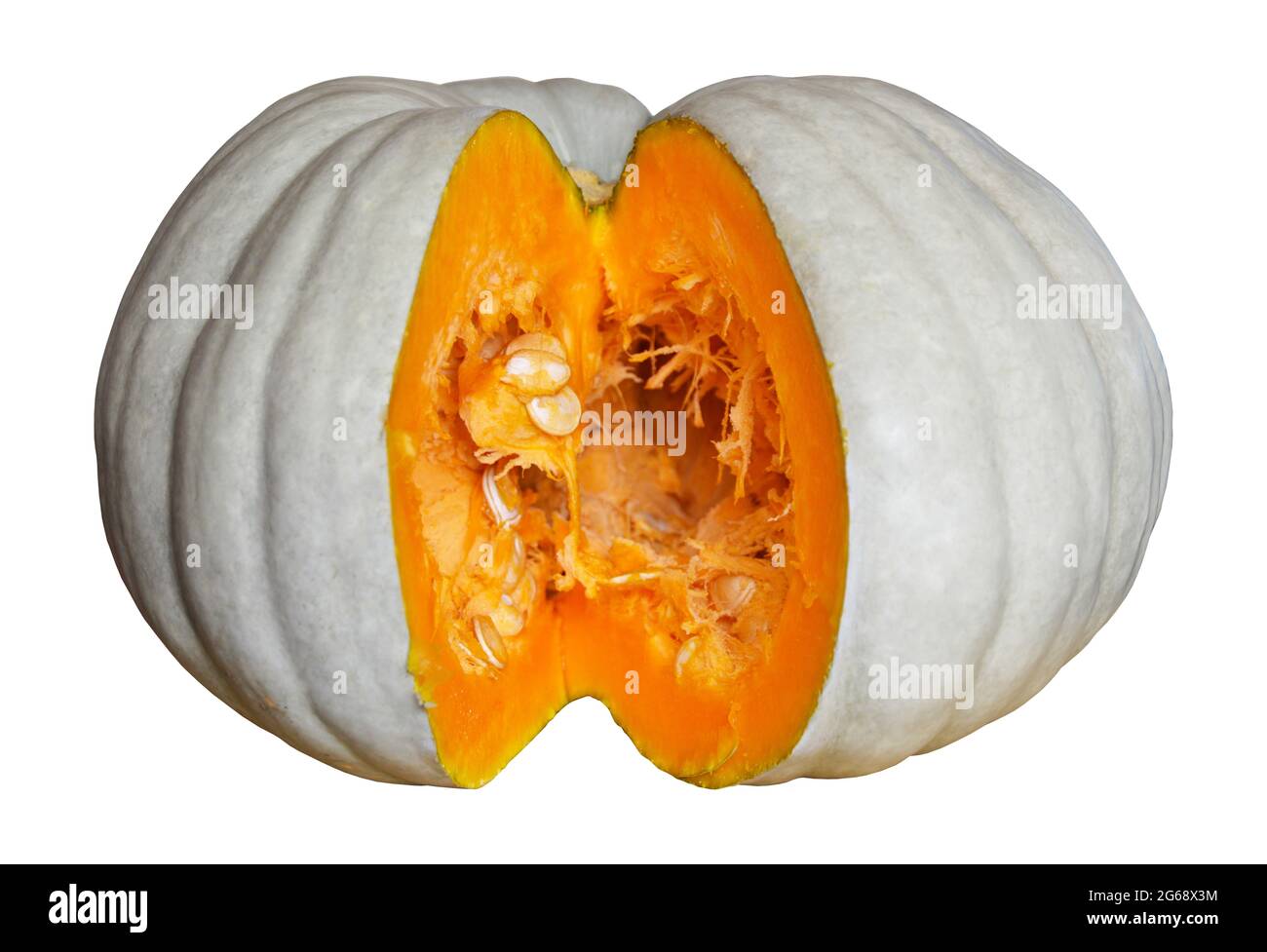 Porzione esterna grigio interno arancione tessuto di zucca fresco, fresco una zucca, isolato su sfondo bianco Foto Stock