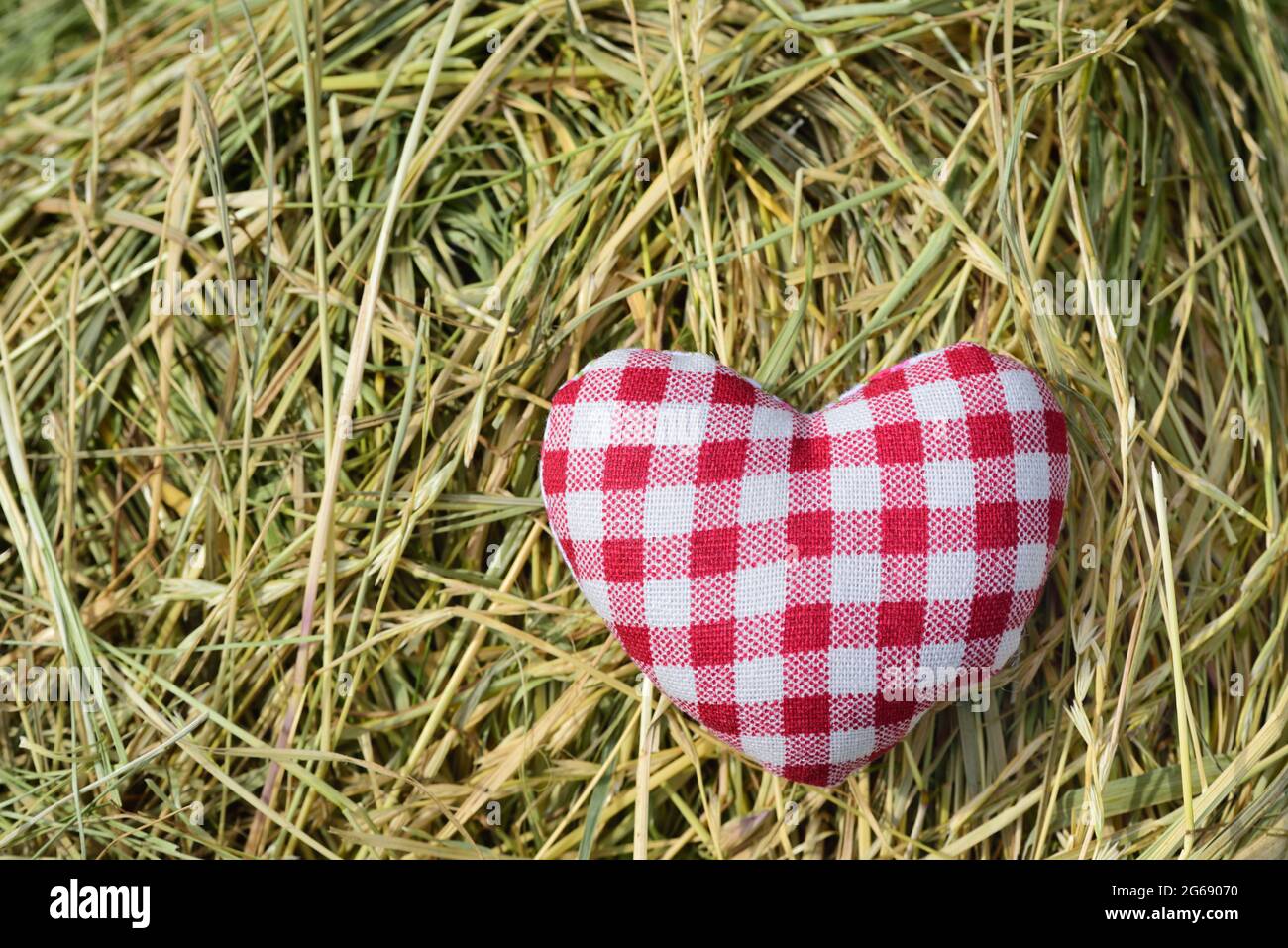 Su uno sfondo di fieno si trova un piccolo cuore fatto di tessuto rosso e bianco controllato per un idillio rurale Foto Stock