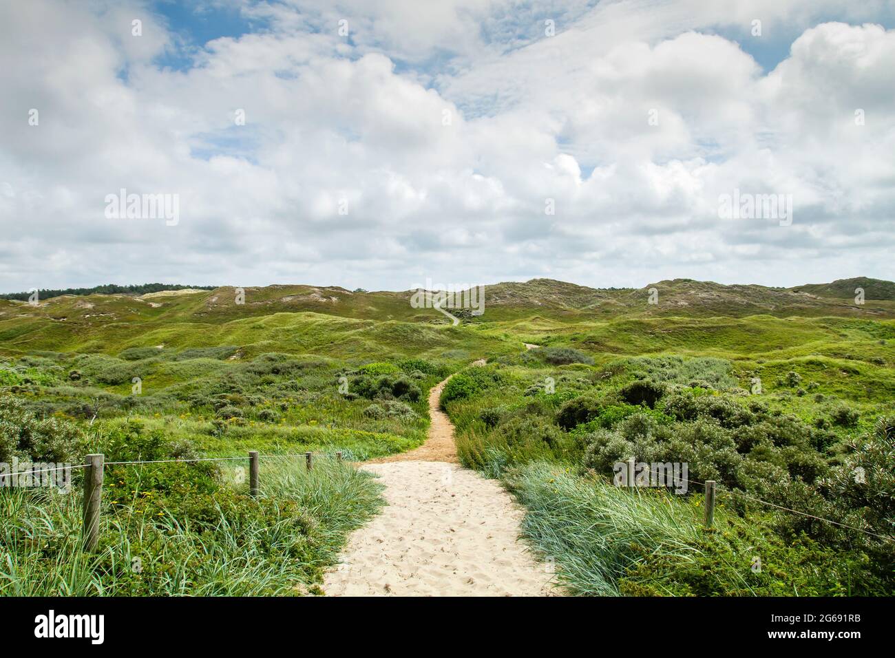 Sentiero nelle dune del Parco Nazionale di Texel Foto Stock