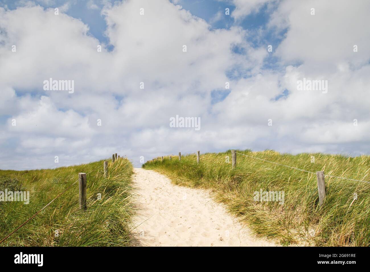 Percorso nelle dune del Parco Nazionale di Texel Foto Stock