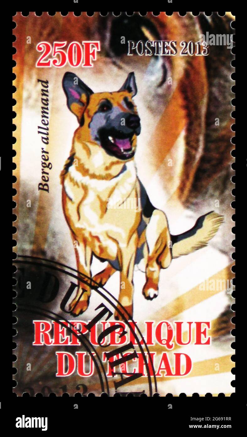 MOSCA, RUSSIA - 28 MARZO 2020: Francobollo stampato in Ciad mostra Berger allemand, Dogs serie, circa 2013 Foto Stock