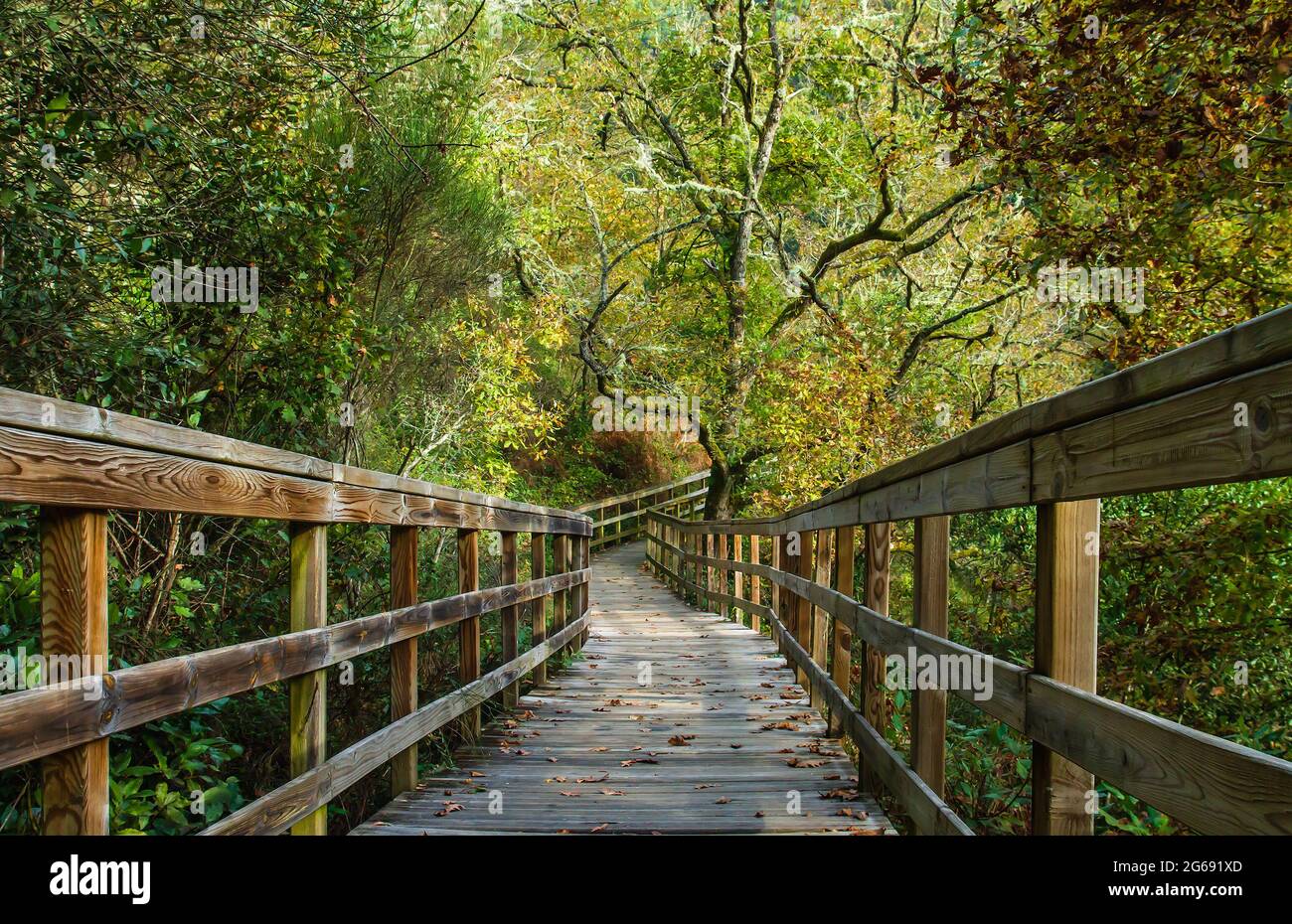 Passerella in legno nel Mao River Canyon, Ribeira Sacra, Galizia, Spagna Foto Stock