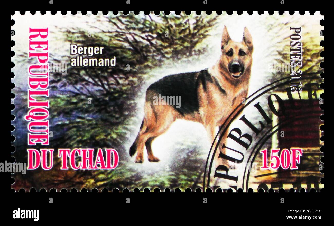 MOSCA, RUSSIA - 28 MARZO 2020: Francobollo stampato in Ciad mostra Berger allemand, Dogs serie, circa 2013 Foto Stock