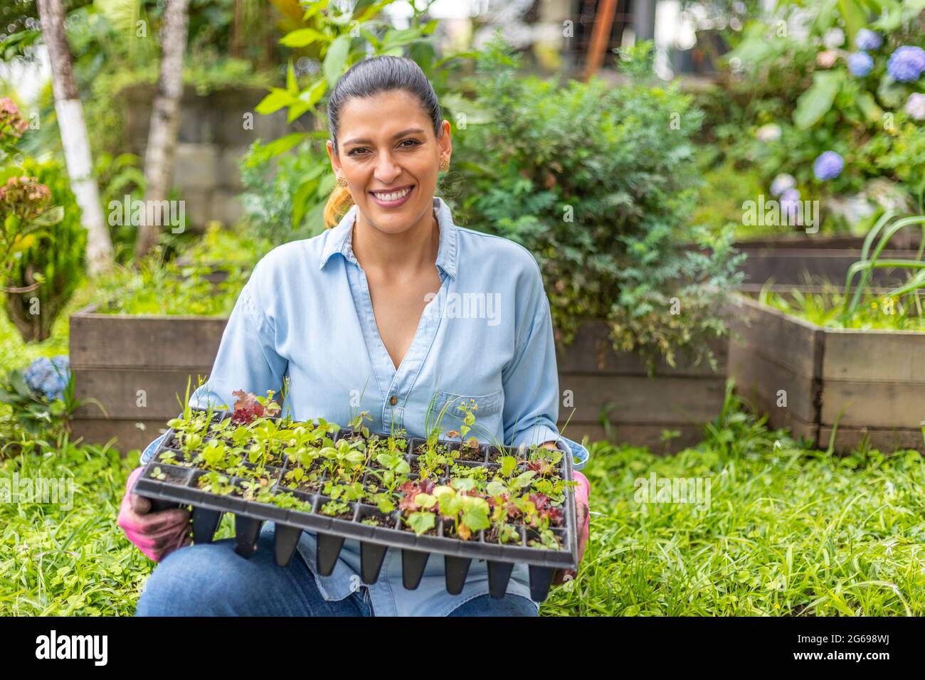donna seduta nel suo giardino con vassoio di germinazione Foto Stock