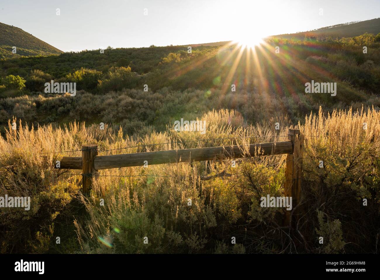 Sunburst su Hillside splende sulla sezione di Fence lungo il bordo del Black Canyon del Gunnison Foto Stock