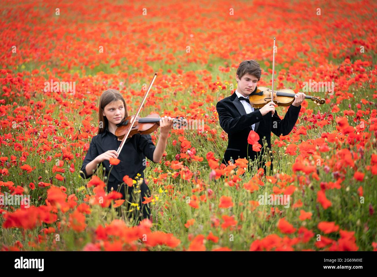 Viktor Seifert, 14 anni, e sua sorella Klara Seifert, 12 anni, suonano i violini Wilfred Owen e Siegfried Sassoon circondati da papaveri in un campo vicino a Edimburgo per celebrare cento anni del papavero come simbolo internazionale del ricordo. Data immagine: Domenica 4 luglio 2021. Foto Stock