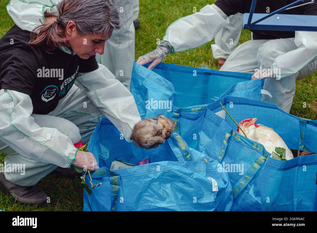 Londra, Regno Unito. 4 luglio 2021. Gli attivisti per i diritti degli animali di We Stand for the Animal Rebellion svolgono un servizio memoriale in cui i partecipanti tengono foto di animali o animali morti congelati per riconoscere la vita degli animali in modo rispettoso. Onorarli nella morte in modo che la maggior parte degli animali non saranno mai onorati nella vita. Gli animali presenti nella cerimonia rappresentano i miliardi di animali non umani utilizzati dagli esseri umani per il cibo, l'abbigliamento, l'intrattenimento, la scienza e come compagni. Credit: Joao Daniel Pereira Credit: João Daniel Pereira/Alamy Live News Foto Stock