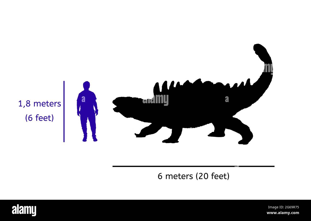 Confronto delle dimensioni tra ankylosaurus e umano. Illustrazione della silhouette del corpo di ankylosaurus rispetto al corpo umano Foto Stock