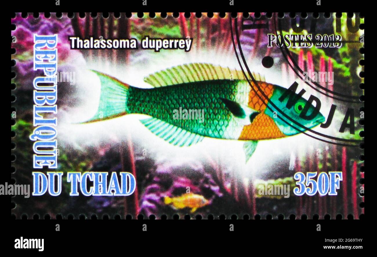 MOSCA, RUSSIA - 28 MARZO 2020: Francobollo stampato in Ciad mostra Thalassoma duperrey, veleni serie, circa 2013 Foto Stock