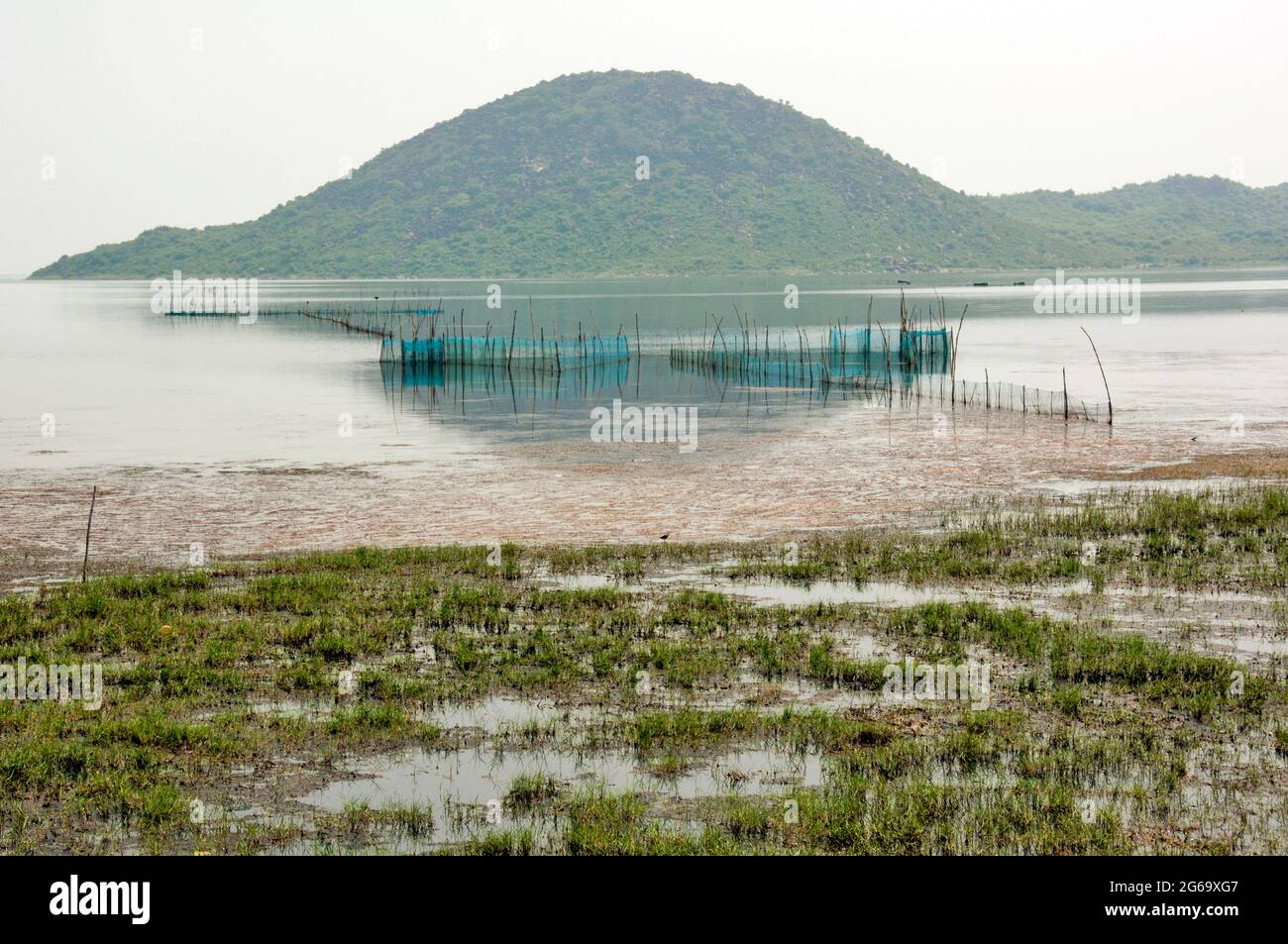 paesaggio naturale del lago di chilka rambha odisha Foto Stock