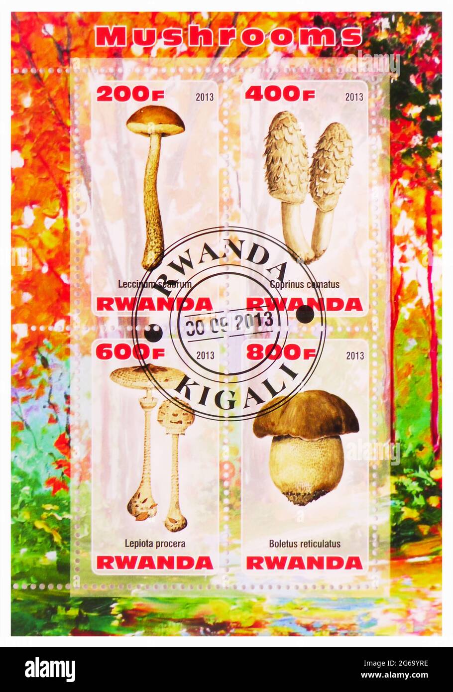 MOSCA, RUSSIA - 28 MARZO 2020: Francobollo stampato in Ruanda mostra Mushrooms serie, circa 2013 Foto Stock