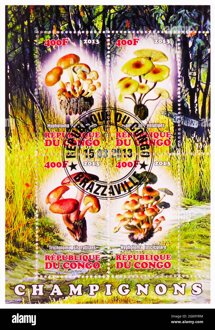 MOSCA, RUSSIA - 28 MARZO 2020: Quattro francobolli stampati in Congo Shows , Mushrooms serie, circa 2013 Foto Stock
