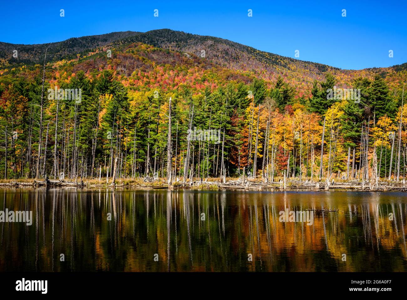 Autunno colori riflessione vicino Whiteface montagna nel Adirondack Foto Stock