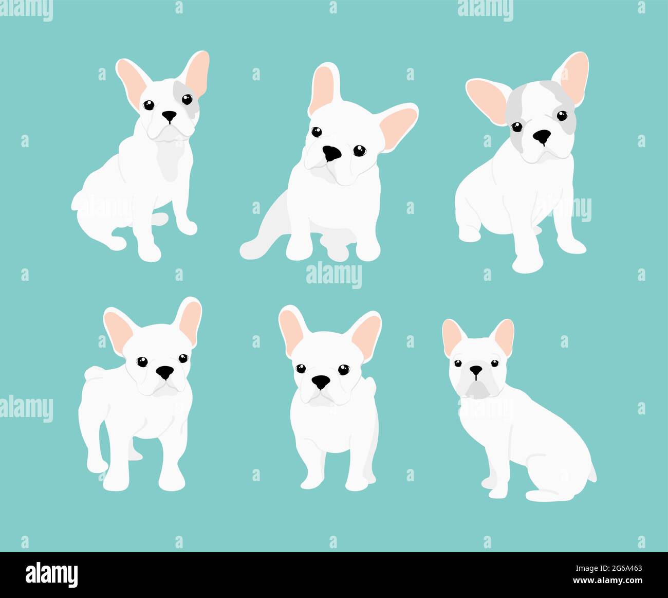 Serie di illustrazioni vettoriali di carino piccolo bulldog francese bianco. Immagini felici e divertenti del cucciolo di bulldog in posizioni diverse ed emozioni in cartone animato Illustrazione Vettoriale