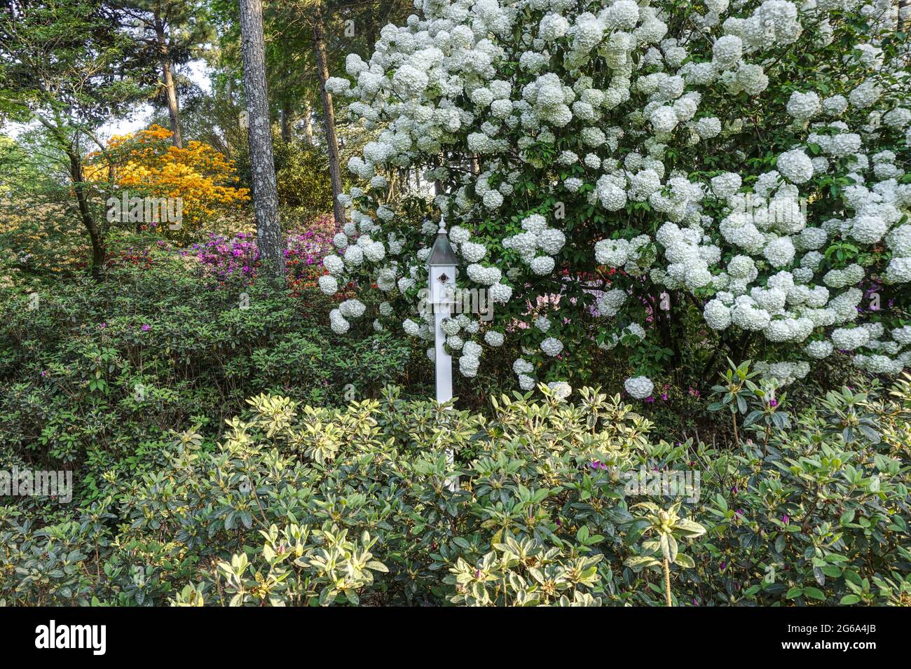 Birdhouse in un giardino in Carolina del Nord Foto Stock
