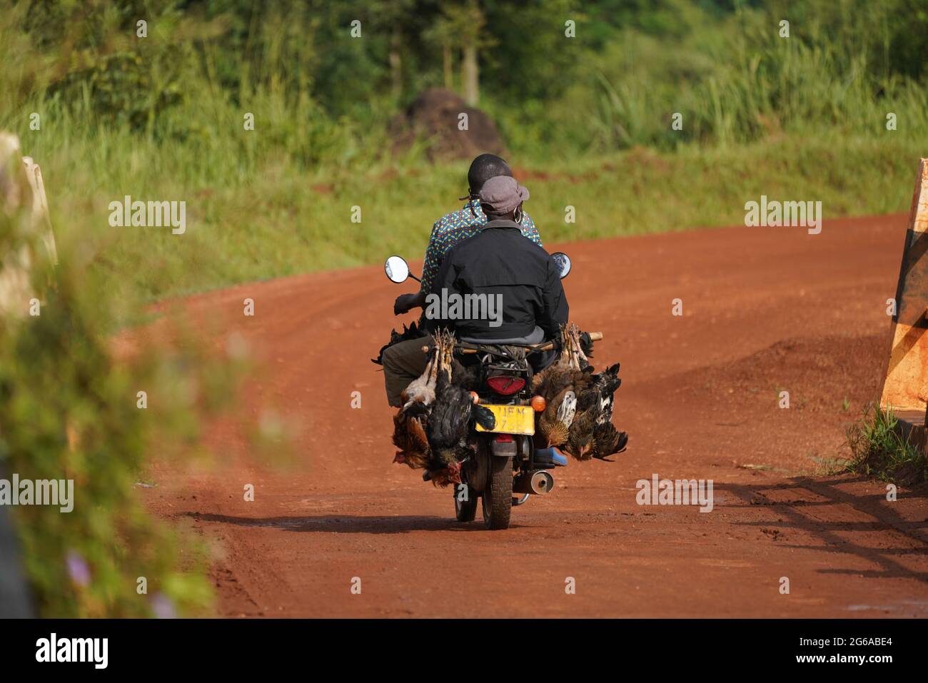Due africani in moto con polli vivi. Foto Stock