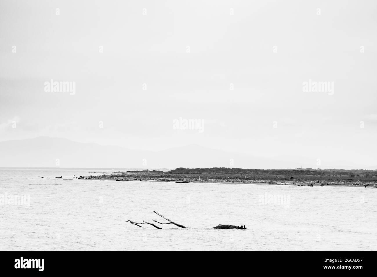 Marina di Albarese - Maremma Toscana Foto Stock