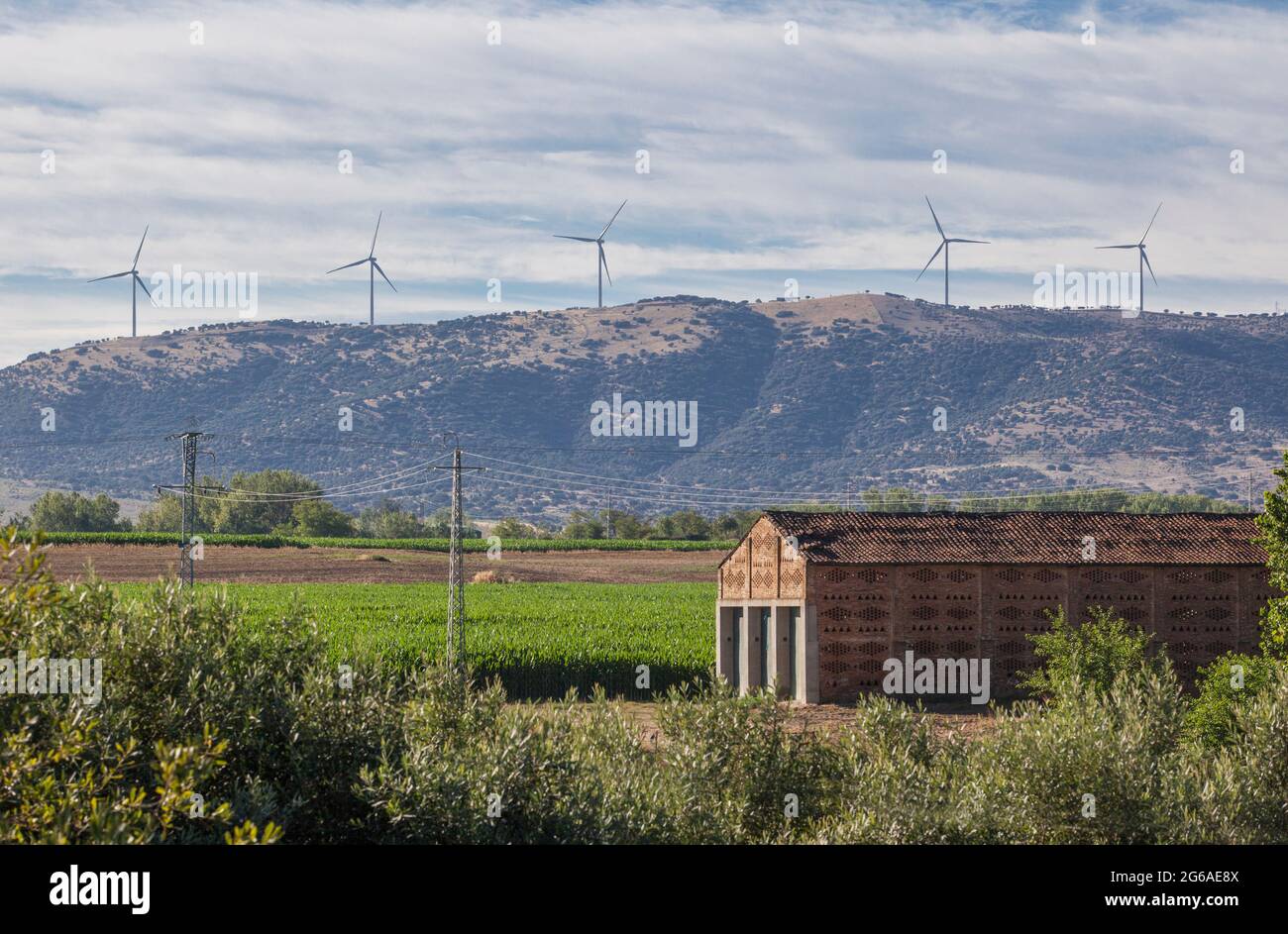 Casa di essiccazione del tabacco con turbine eoliche elettriche sul fondo. Carcaboso campagna. Caceres, Estremadura, Spagna Foto Stock