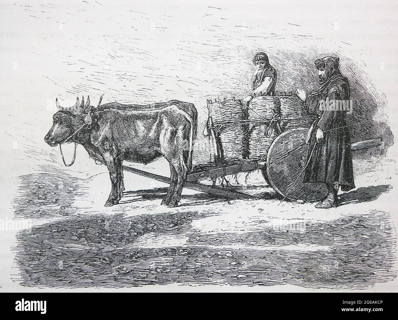 Carrello caucasico. Incisione del 1870. Foto Stock