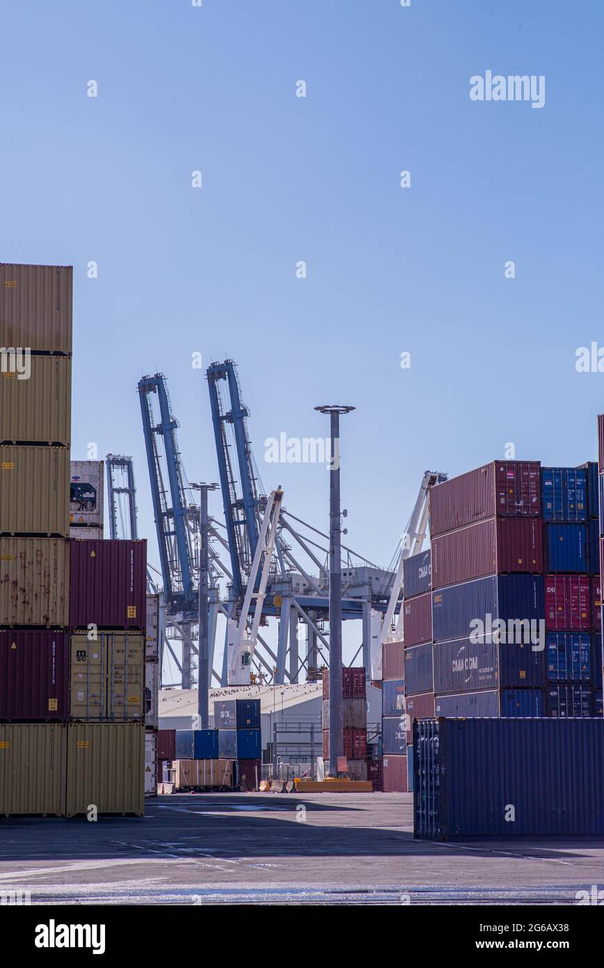 Gru per container alte in pile di container al porto di Auckland Nuova Zelanda. Foto Stock