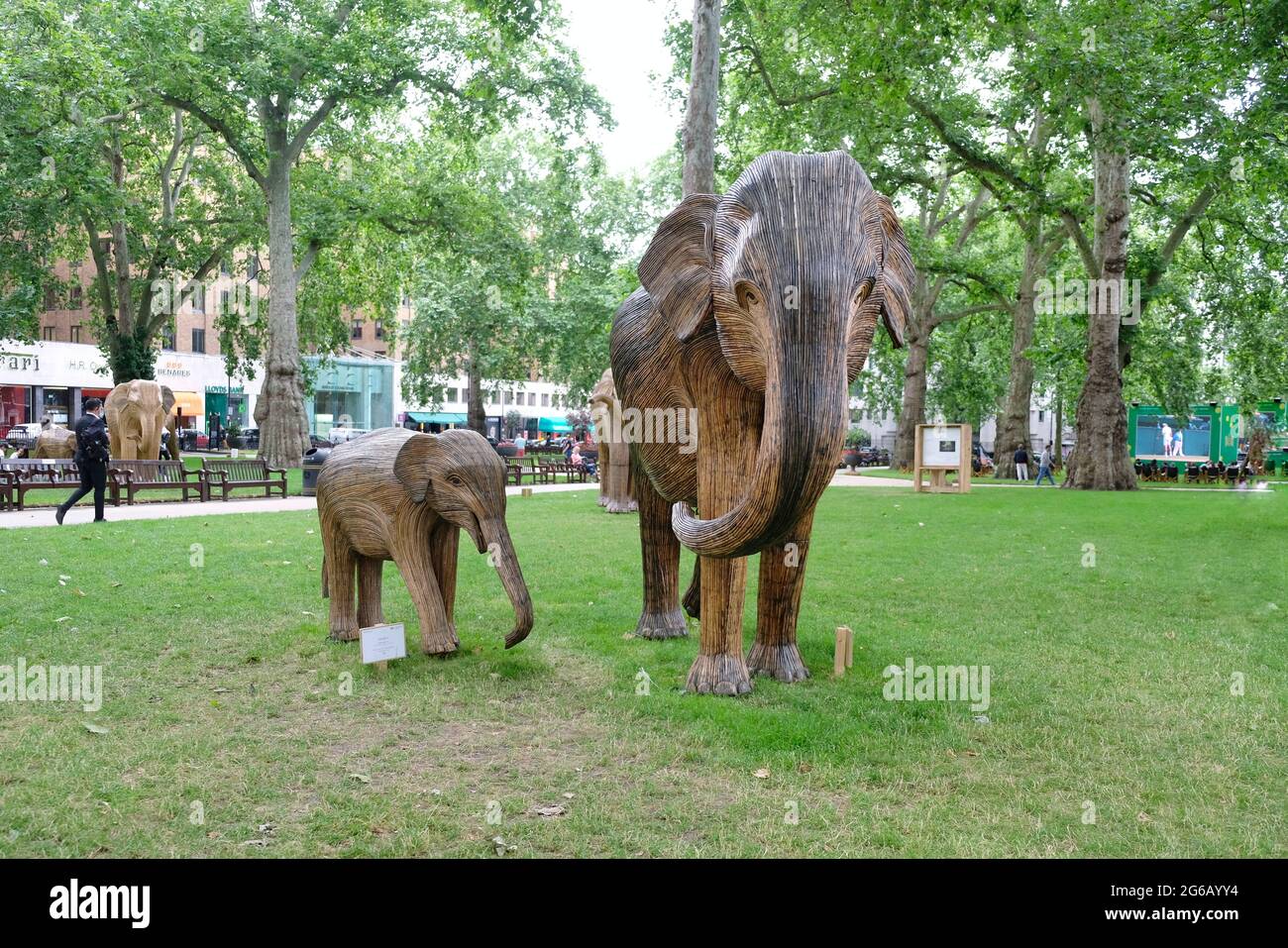 Un gregge di elefanti sono esposti nel verde circostante di Berkerley Square come parte di una campagna ambientale per evidenziare l'estinzione degli animali. Foto Stock