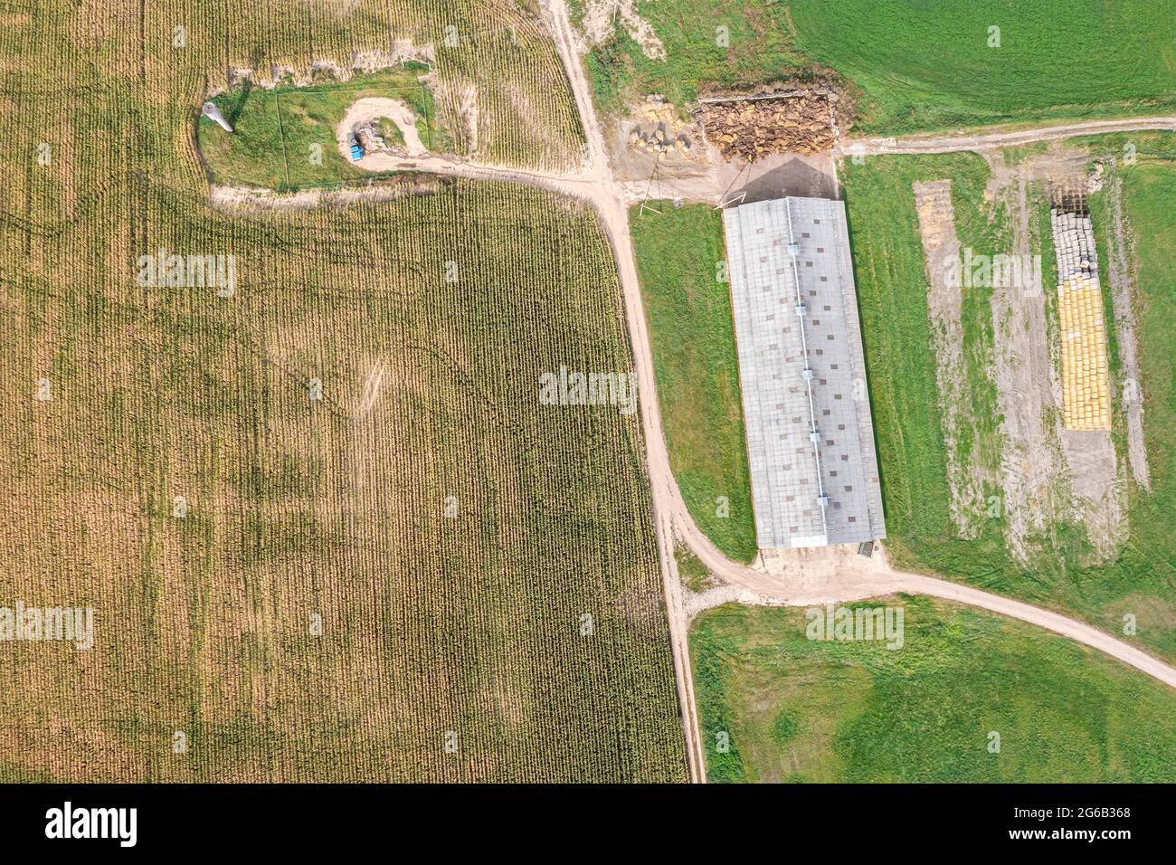 fattoria in prato verde vicino campo di grano. foto aerea drone guardando giù. Foto Stock