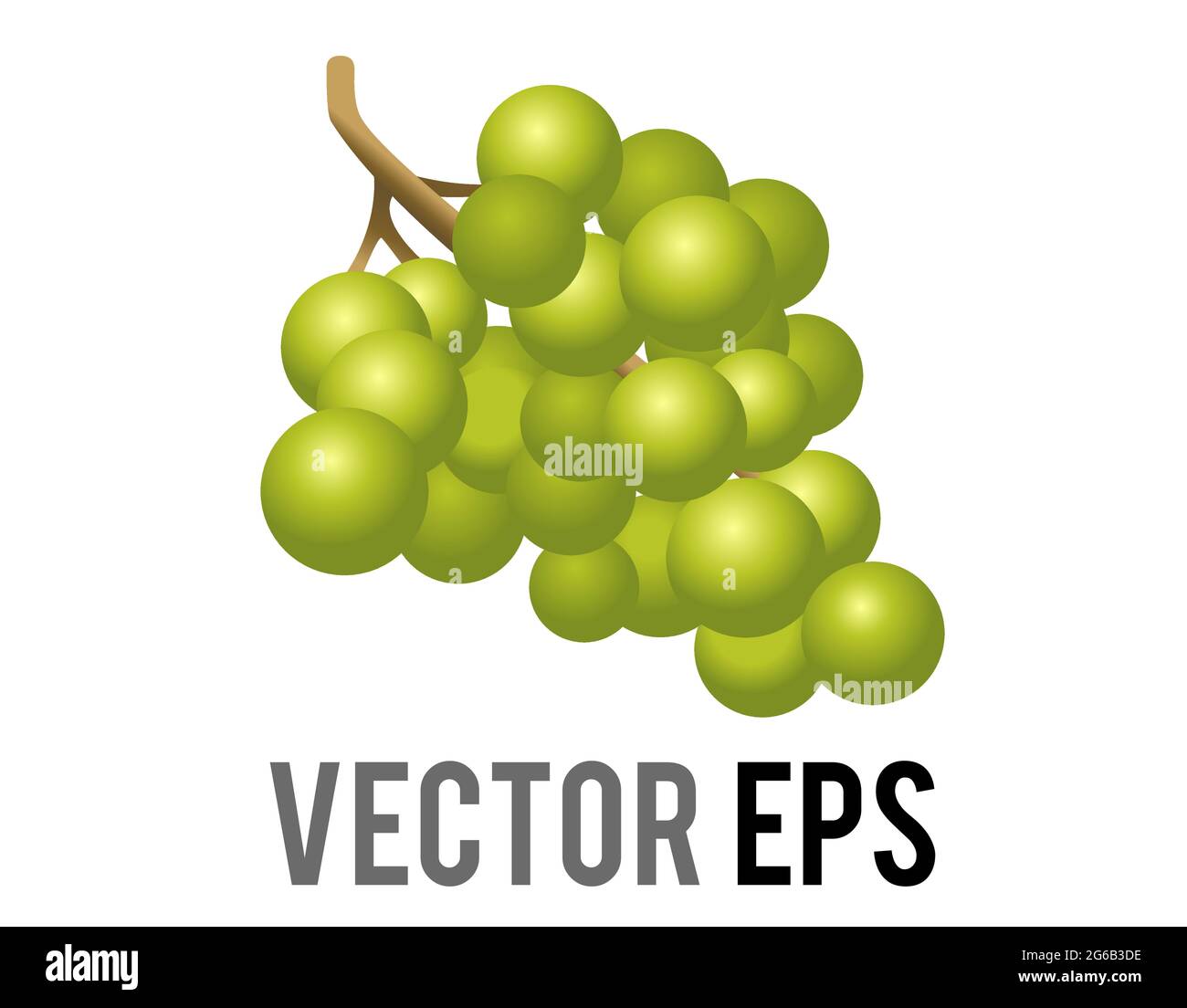 Il vettore isolato frutta gradiente verde grappolo d'uva icona, come tagliato dalla vite e utilizzato per la produzione di vino Illustrazione Vettoriale