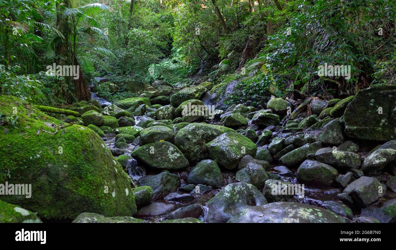 Rocce lungo Toolona Creek Foto Stock