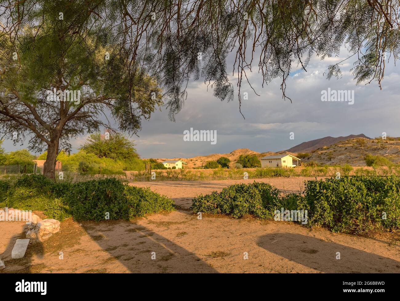 Paesaggio della savana secca a nord-ovest di Windhoek, Namibia Foto Stock