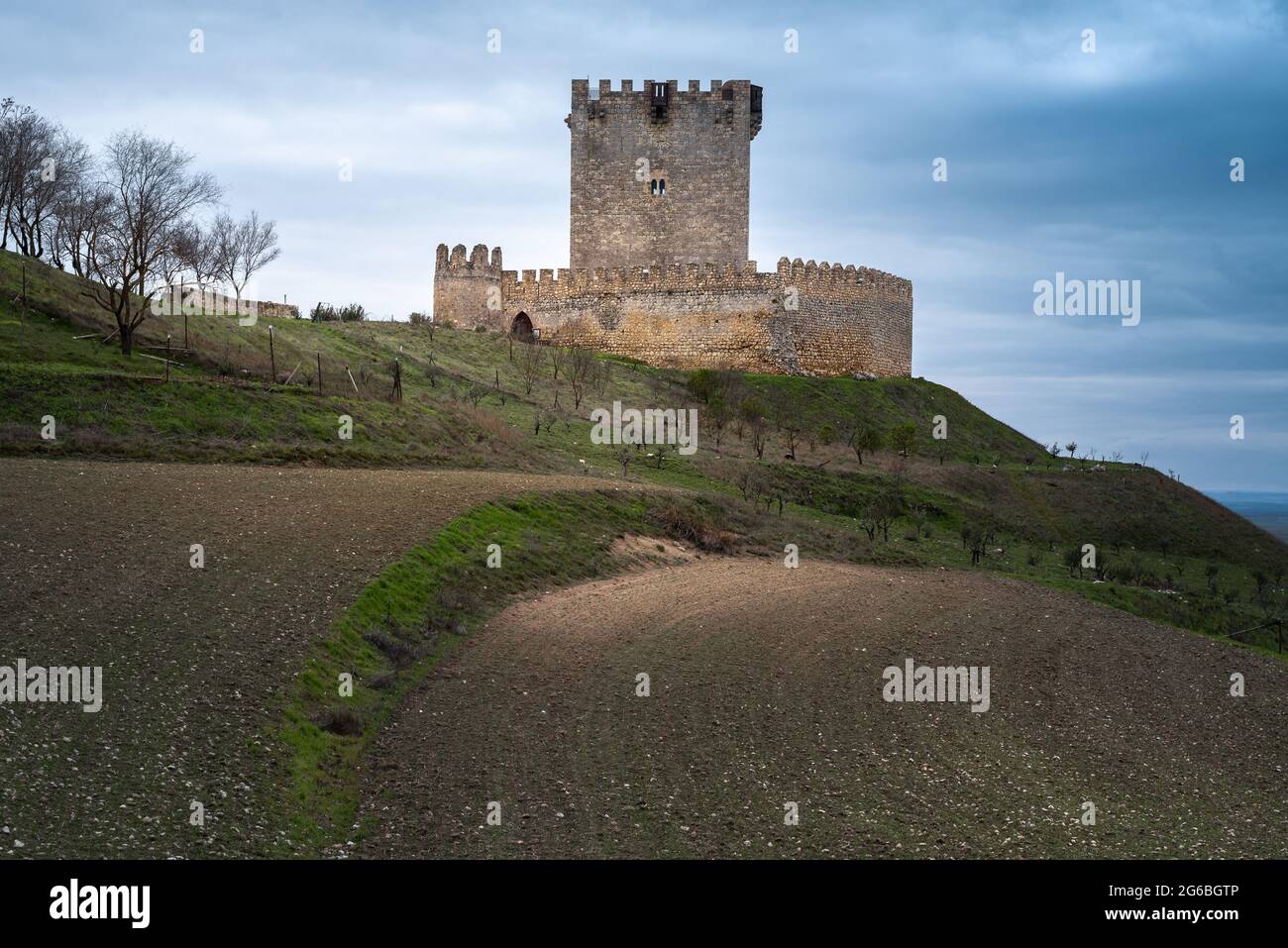 Castello di Tiedra, provincia di Valladolid, Spagna Foto Stock