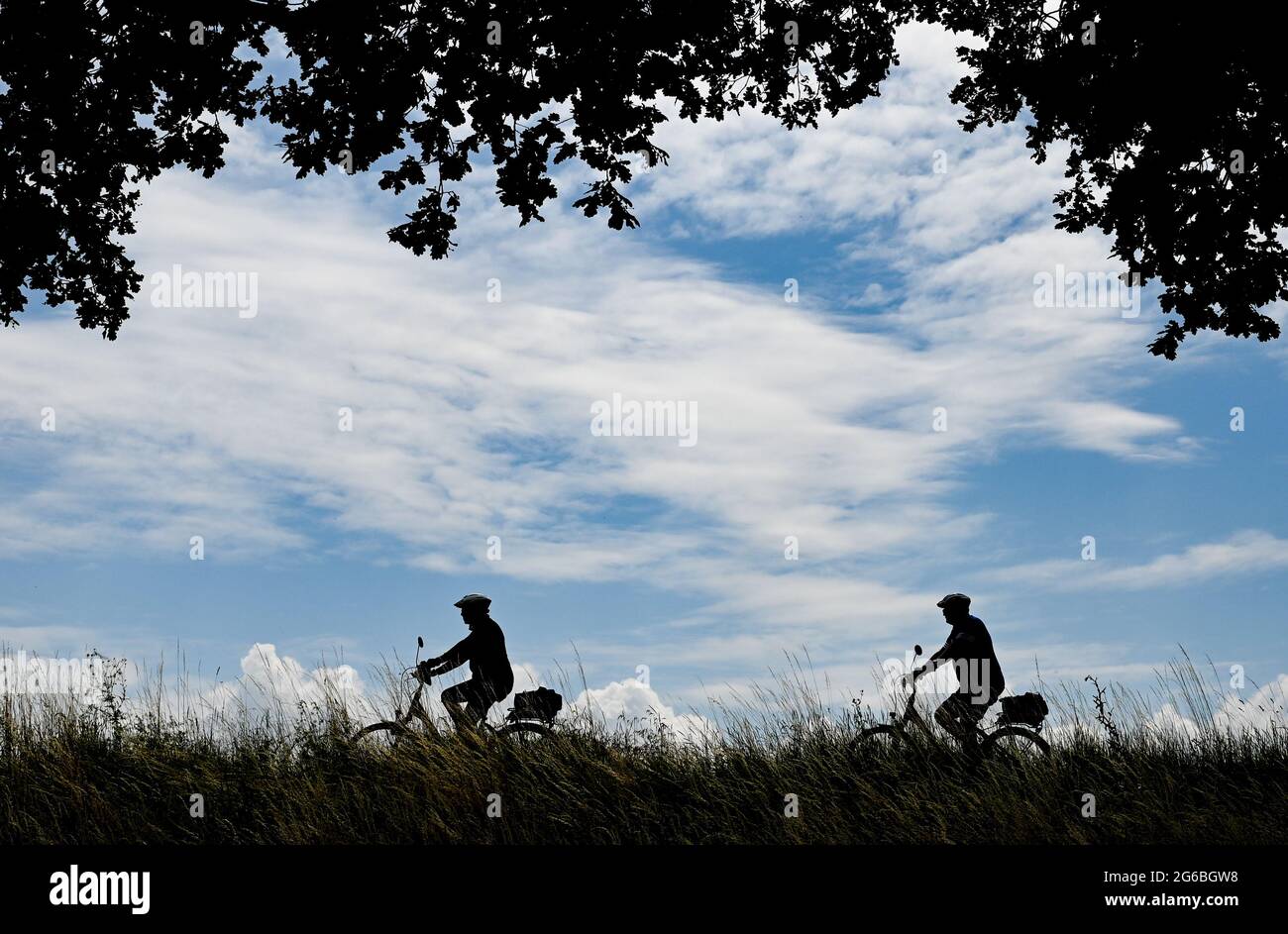 Reitwein, Germania. 04 luglio 2021. I ciclisti si trovano sulla pista ciclabile Oder-Neisse, che si trova nell'Oderbruch, sulla diga sul fiume Oder, confine tedesco-polacco, vicino a Reitwein. La pista ciclabile Oder-Neisse è una pista ciclabile a lunga percorrenza nella Repubblica Ceca e in Germania lunga circa 630 chilometri. Segue in gran parte il confine orientale della Germania con la Polonia. Credit: Patrick Pleul/dpa-Zentralbild/ZB/dpa/Alamy Live News Foto Stock