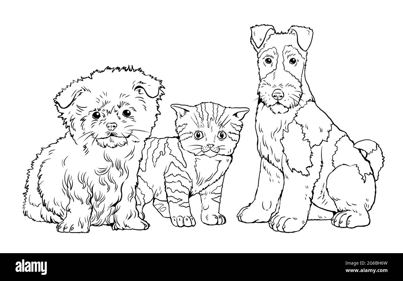 Amici cucciolo e gattino. Simpatici cuccioli di cani. Modello di libro da colorare. Illustrazione digitale. Foto Stock