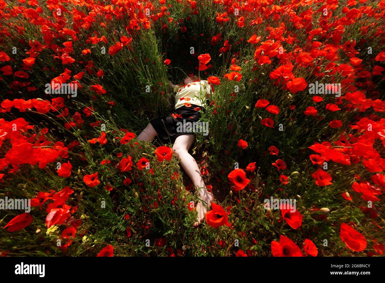 donna matura, stesa morta in una camicia gialla in un campo di fiori di papavero rosso, spazio copia Foto Stock