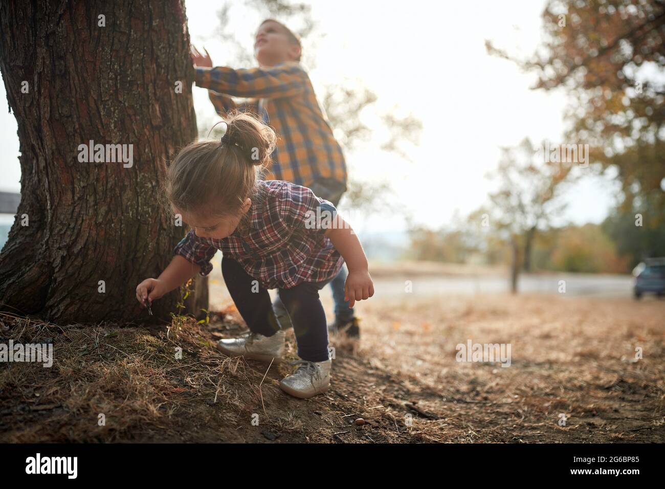 Una bambina studia la natura in un bel giorno d'autunno Foto Stock