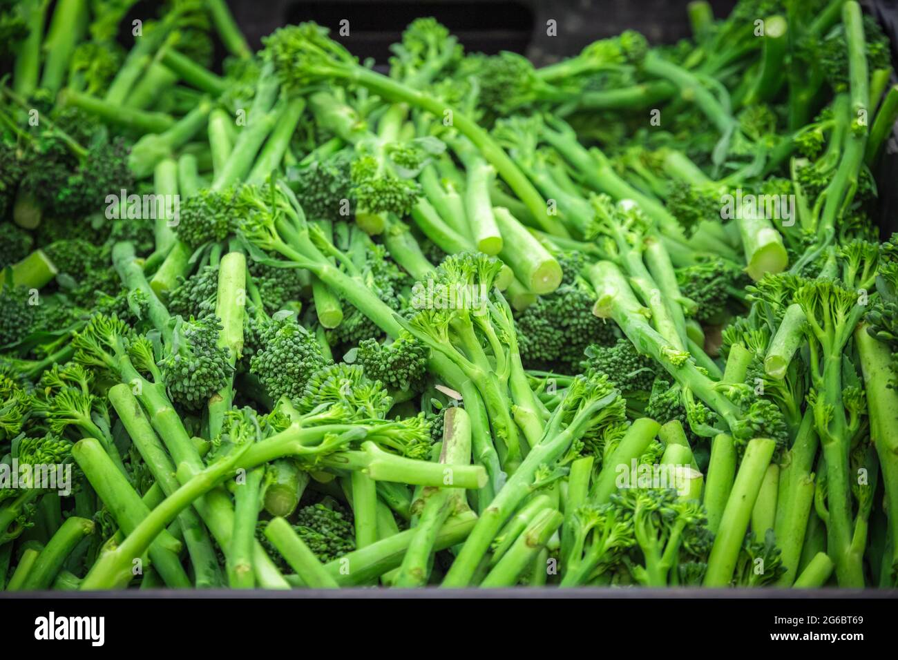 Freschi broccolini in mostra al Broadway Market, un mercato di strada a Hackney, Londra Est Foto Stock