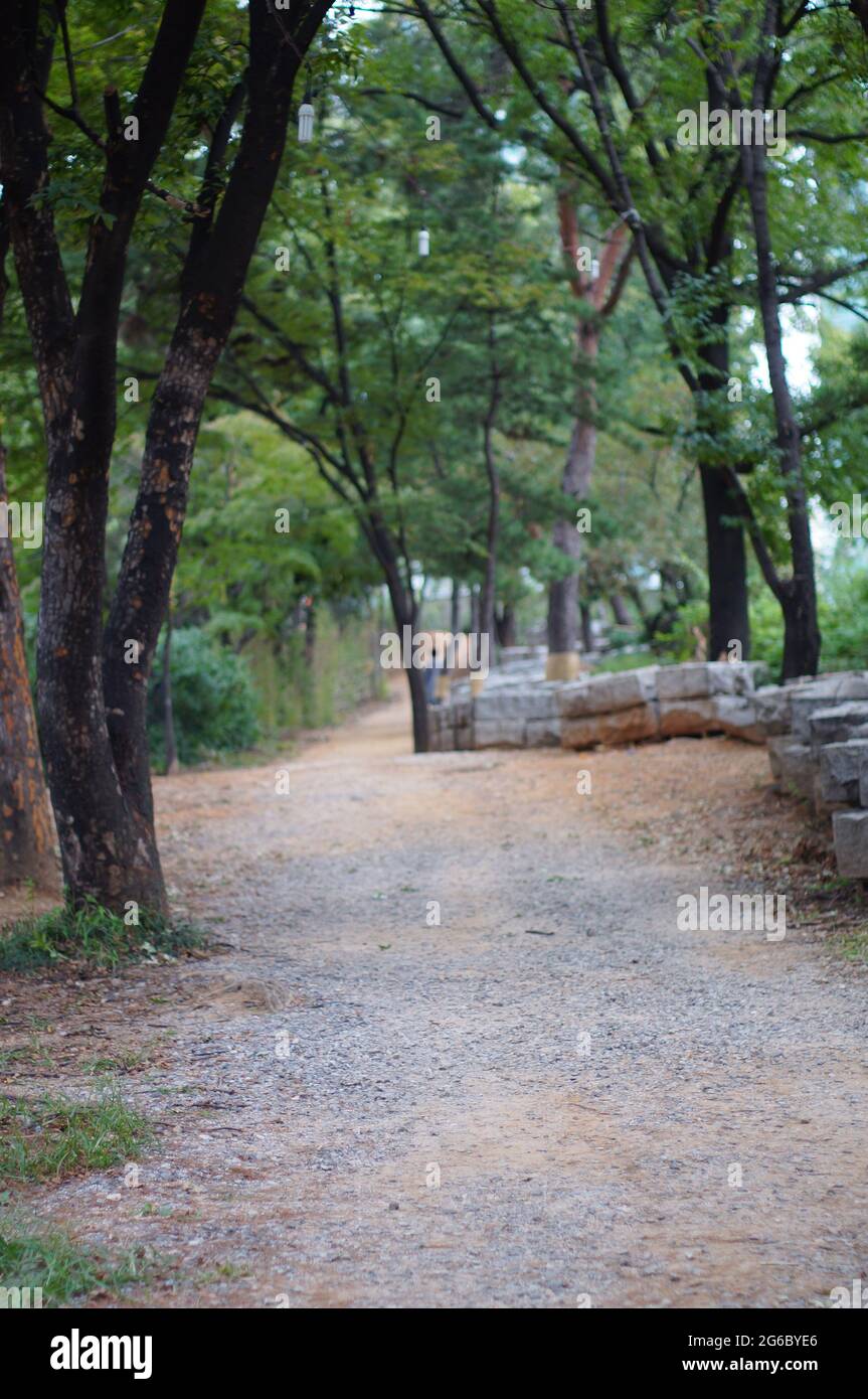 Bongeunsa - Seoul 2019 Autunno Foto Stock