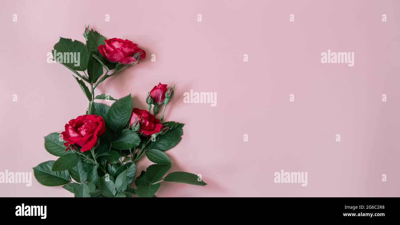 Arrangiamento floreale con un bouquet di rose rosse fresche spazio copia. Foto Stock