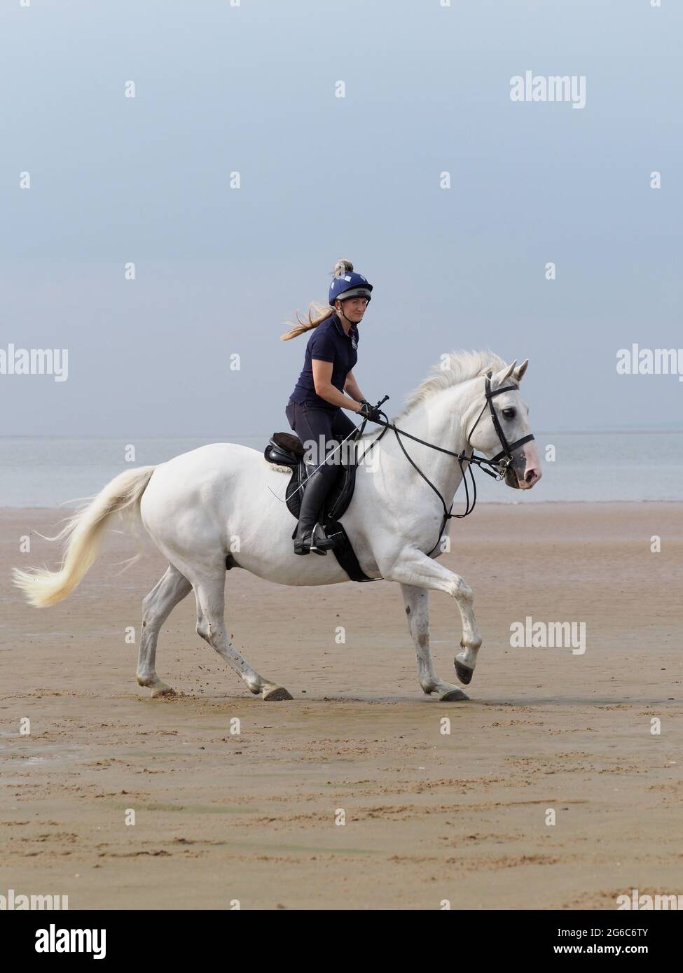 Un pilota prende un hack lungo una spiaggia nel Nord Norfolk. Foto Stock