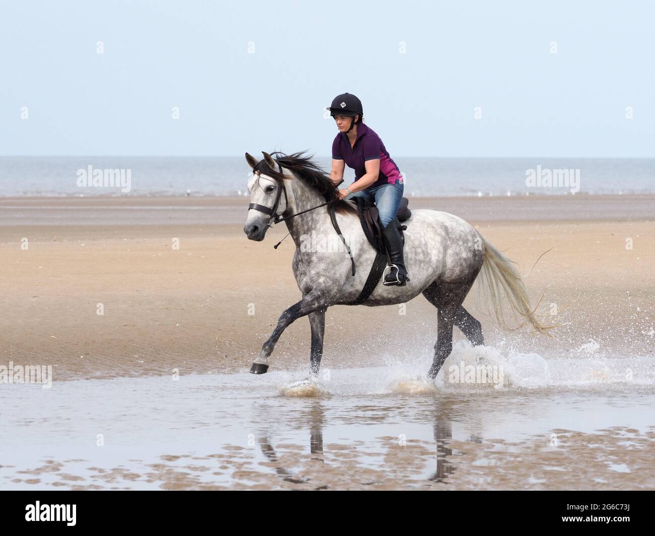 Un pilota prende un hack lungo una spiaggia nel Nord Norfolk. Foto Stock