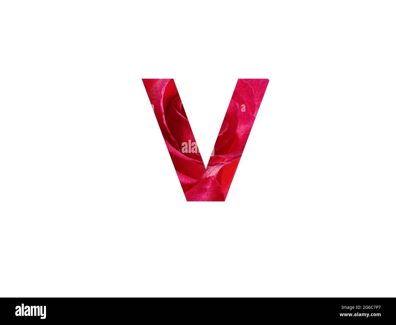 Lettera V dell'alfabeto fatta con una foto di rosa rossa, isolata su sfondo bianco Foto Stock