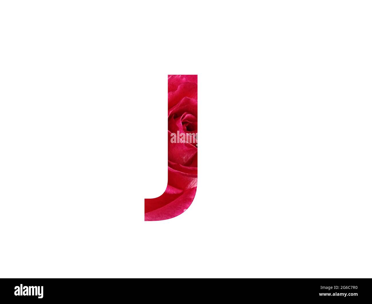 Lettera J dell'alfabeto fatta con una foto di una rosa rossa, isolata su sfondo bianco Foto Stock