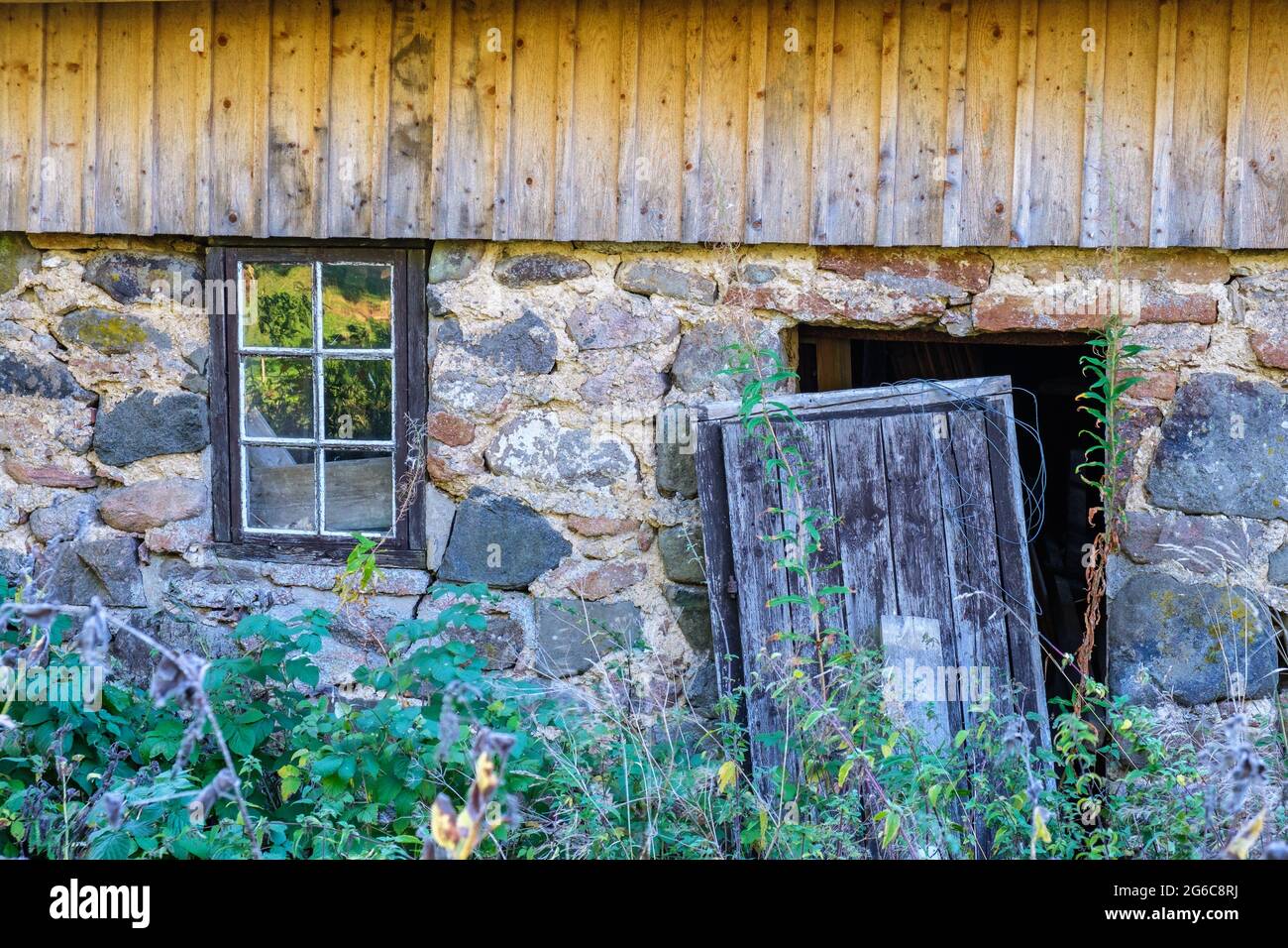 Porta rotta in una casa abbandonata con un giardino in eccesso Foto stock - Alamy