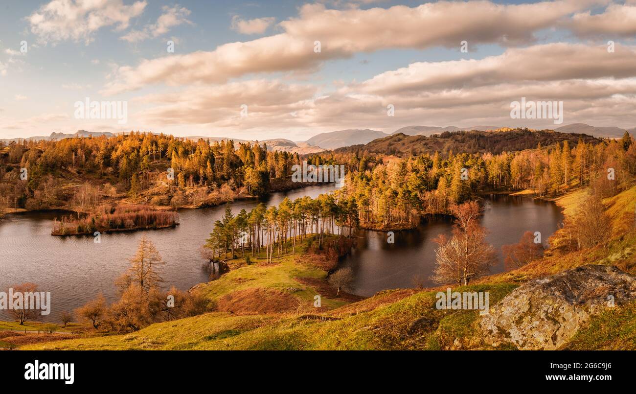 Foto di paesaggio a Tarn Hows dalla cima della roccia scattata al tramonto in primavera. Foto Stock