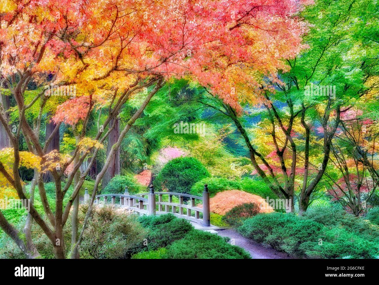 Portland giardini Giapponesi con il ponte e i colori dell'autunno. Oregon Foto Stock