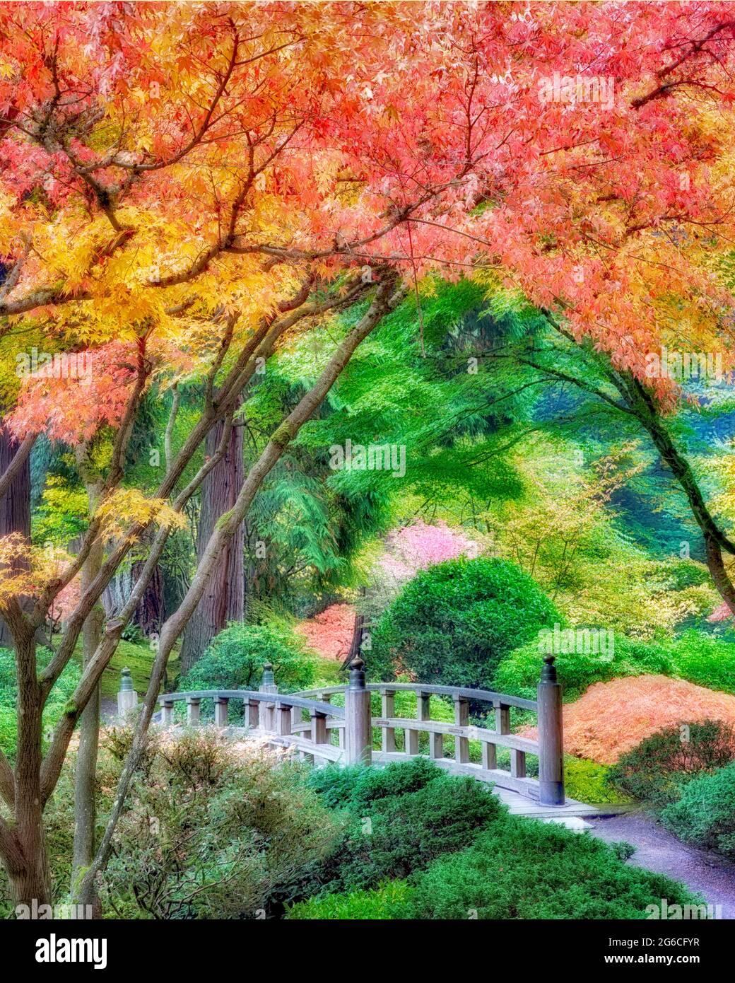 Portland giardini Giapponesi con il ponte e i colori dell'autunno. Oregon Foto Stock