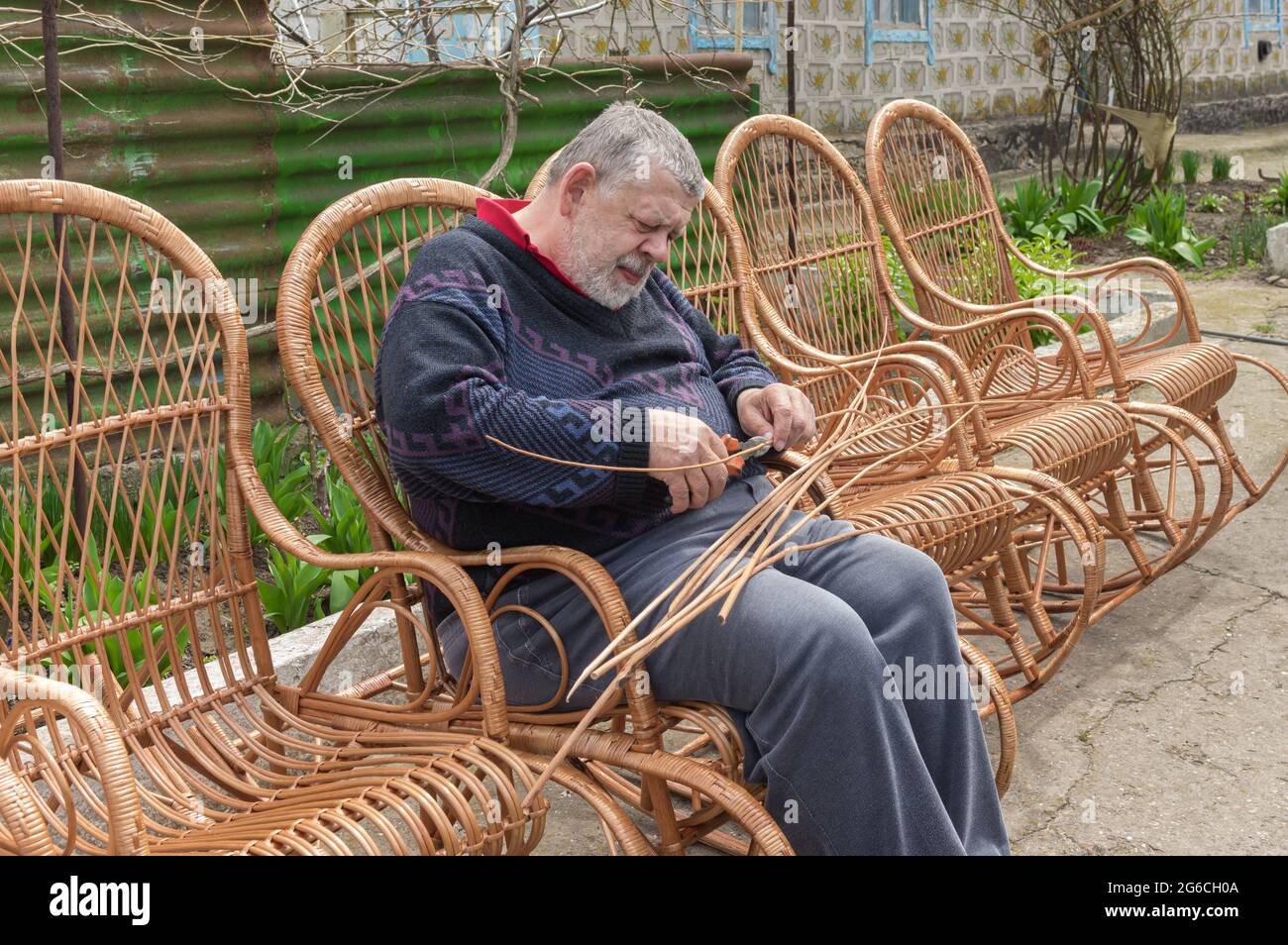 L'uomo ucraino anziano tagliò la manica mentre fa la sedia basculante di vimini nel giardino estivo Foto Stock