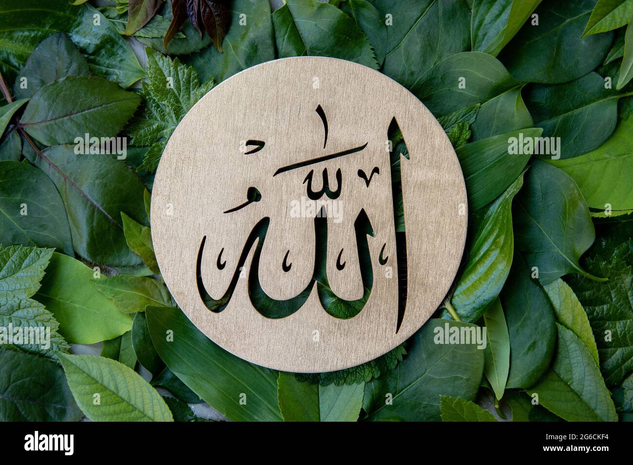 Nome di Allah in arabo su legno d'oro, foglie verdi sfondo. Calligraphy significa il Dio al Mighty della religione islamica. Foto Stock