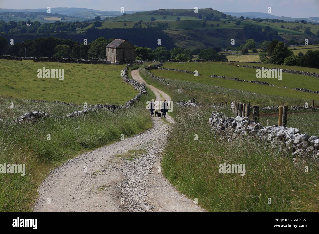 Persone che camminano cani in una corsia di campagna tra muri di pietra a secco in un giorno estivo soleggiato nel Peak District - Hartington, Derbyshire, Inghilterra, Regno Unito Foto Stock
